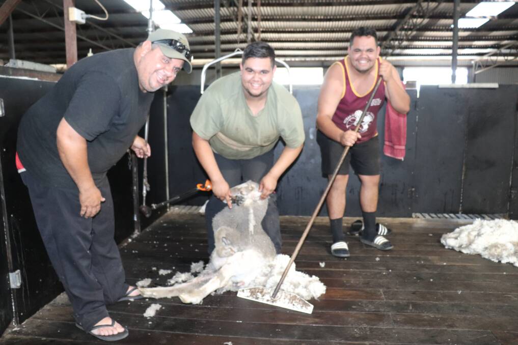 Learner shearer Lachlan Hansen (centre) with his shearer father Nicholas Riley and rouseabout younger brother, also Nicholas, in the Camballan shearing shed near Boyup Brook.