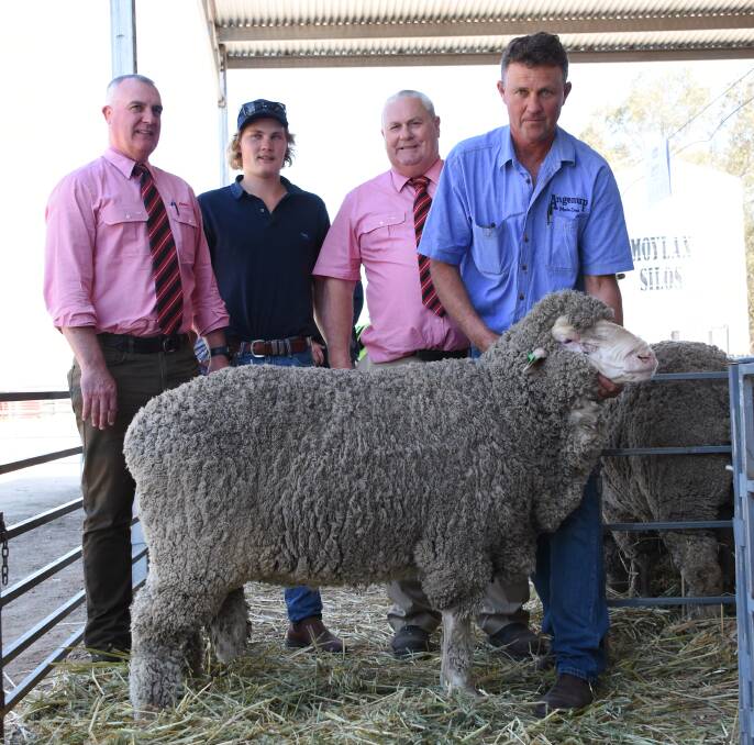 Prices hit a high of $7500 for this Poll Merino ram at Monday's Angenup on-property ram sale at Kojonup when it was knocked down to the Woolkabin stud, Woodanilling. With the ram were Elders general manager western zone Nick Fazekas (left), Angenup's Lachy Norrish, Elders stud stock representative Kevin Broad, who purchased the ram for Woolkabin and Angenup co-principal Gavin Norrish.