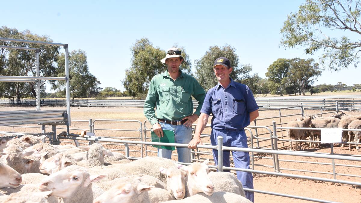 Nutrien Livestock, Wickepin/Kulin and Corrigin agent Ty Miller (left), caught up with Rodney Wiles, Marwonga Nominees, Popanyinng, who sold 625 September, Moojepin blood 3.5yo ewes in the Wickepin leg of the sale for $53.