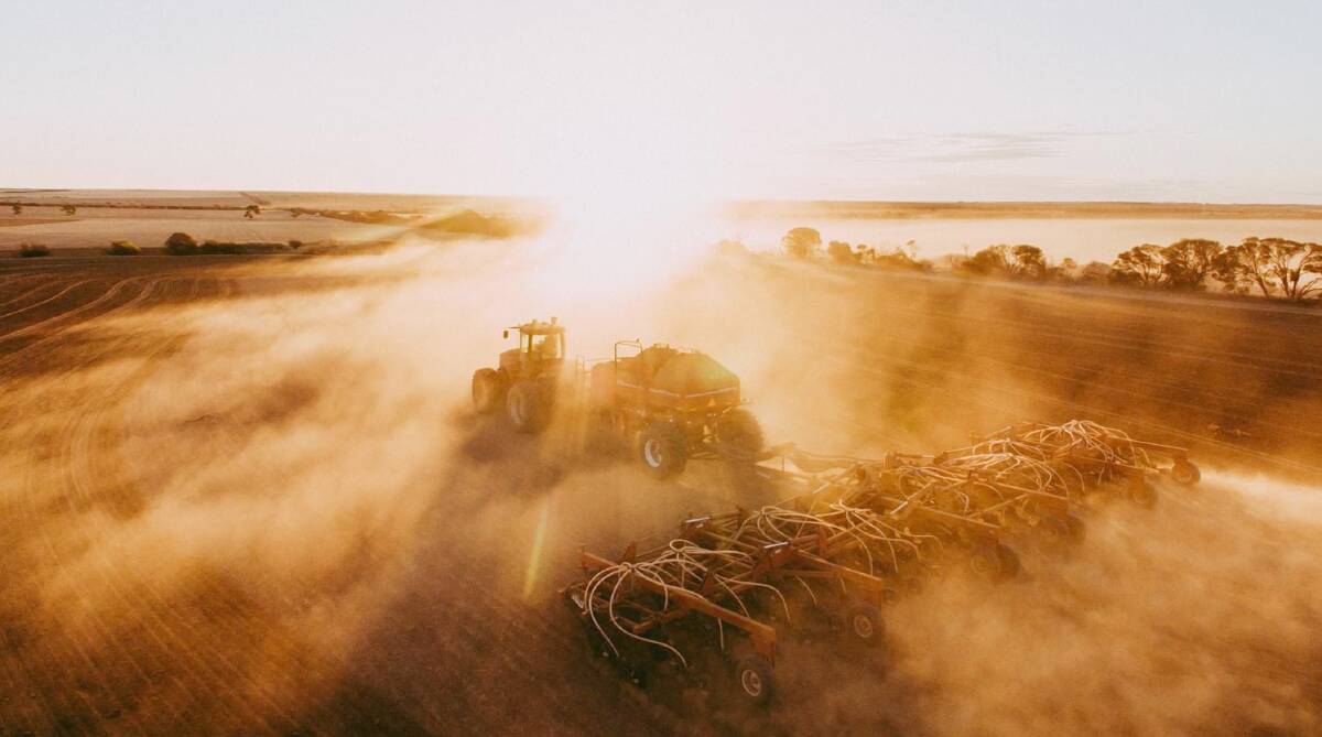 Dust and sunrays in Perenjori. Photo by Ellie Morris.