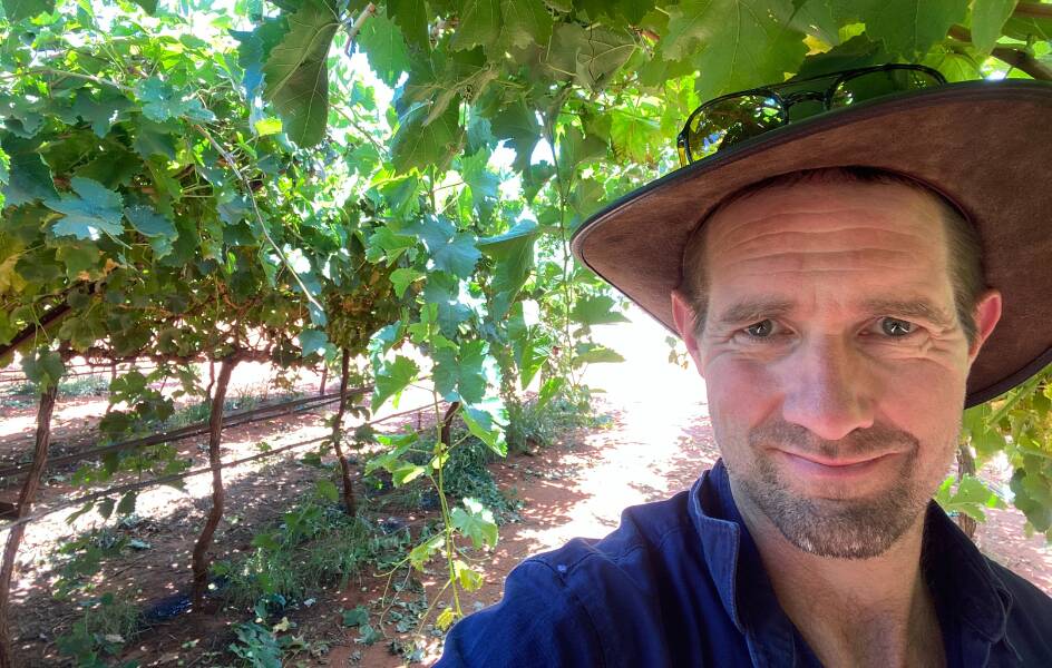 UWA Associate Professor Michael Considine pictured among grapevines. Picture supplied.