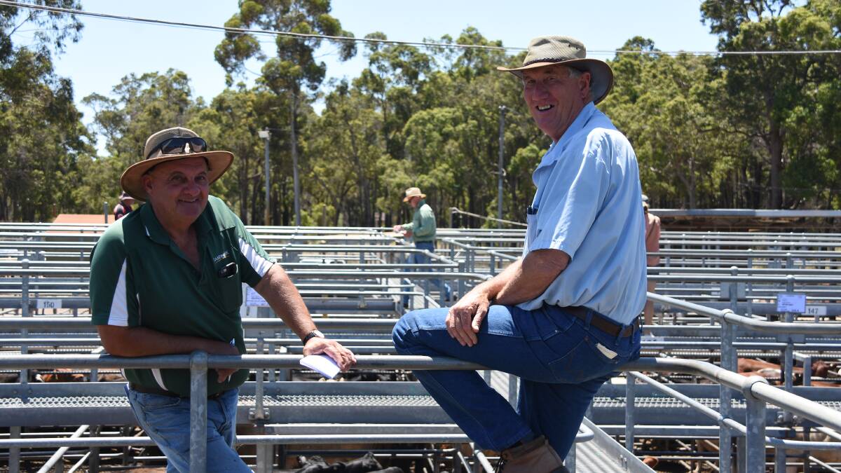 Catching up on the rails before the sale got underway were Landmark Harvey representative Ralph Mosca (left) and Williams lotfeeder Gordon Atwell, Welldon Beef, who both later went onto purchase cattle during the sale.
