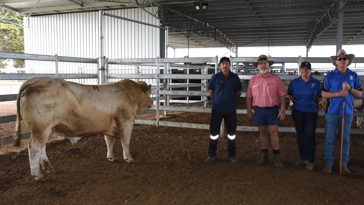 With one of the $10,000 equal top-priced bulls, Bardoo Q58E (R/F) at last week's Bardoo Charolais on-property bull sale at Elgin were buyer David Reid (left), Nillup, Elders Capel representative Rob Gibbings and Bardoo stud's Denise Lynch and Barry Bell.