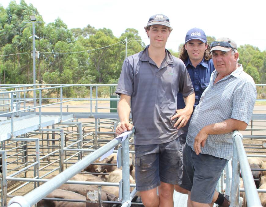 Cooper (left), Aiden and John Omodei, RH Omodei & Sons, Pemberton, nominated 111 mixed-sex Angus weaners in last week's fixture. A pen of seven steers topped at 308c/kg when purchased by Landmark Bridgetown agent Jamie Abbs, while their heifers sold as future breeders to Mark Harris, Treeton Park, Dardanup, for 340c/kg and $1388.