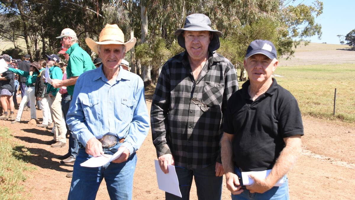 Checking out the cattle in the challenge were Rich Sassella (left), Albany, Lee Johnston, King River and Roy Reid, King River.