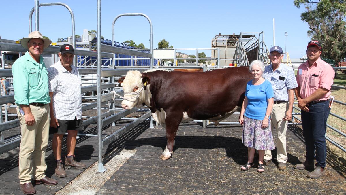 The Francis familys Yallaroo Hereford stud achieved the $30,000 top-price at the WALSA Farm Weekly Supreme Bull Sale at Brunswick. With the top-priced bull Yallaroo Superman S14 (by Battalion Bomber N31) which was purchased by long-time buyer ED Wedge, Gingin, were Nutrien Livestock, Waroona agent Richard Pollock (left), Phil Musitano, Brunswick, who represented the buyer, Yallaroo stud principals Heather and Rob Francis, Busselton and Jacques Martinson, Elders Busselton.