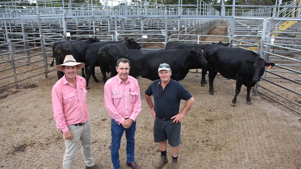 This pen of seven Angus-Friesian heifers from the Merritt family, Elgin Dairies, Elgin, sold for the $3350 equal top price in the Angus-Friesian run when knocked down to Jardee Grazing, Manjimup. With the heifers were Elders, Manjimup representative Cameron Harris (left), Elders, sale auctioneer and the Merritt's agent Alec Williams and buyer Don Terrigno.