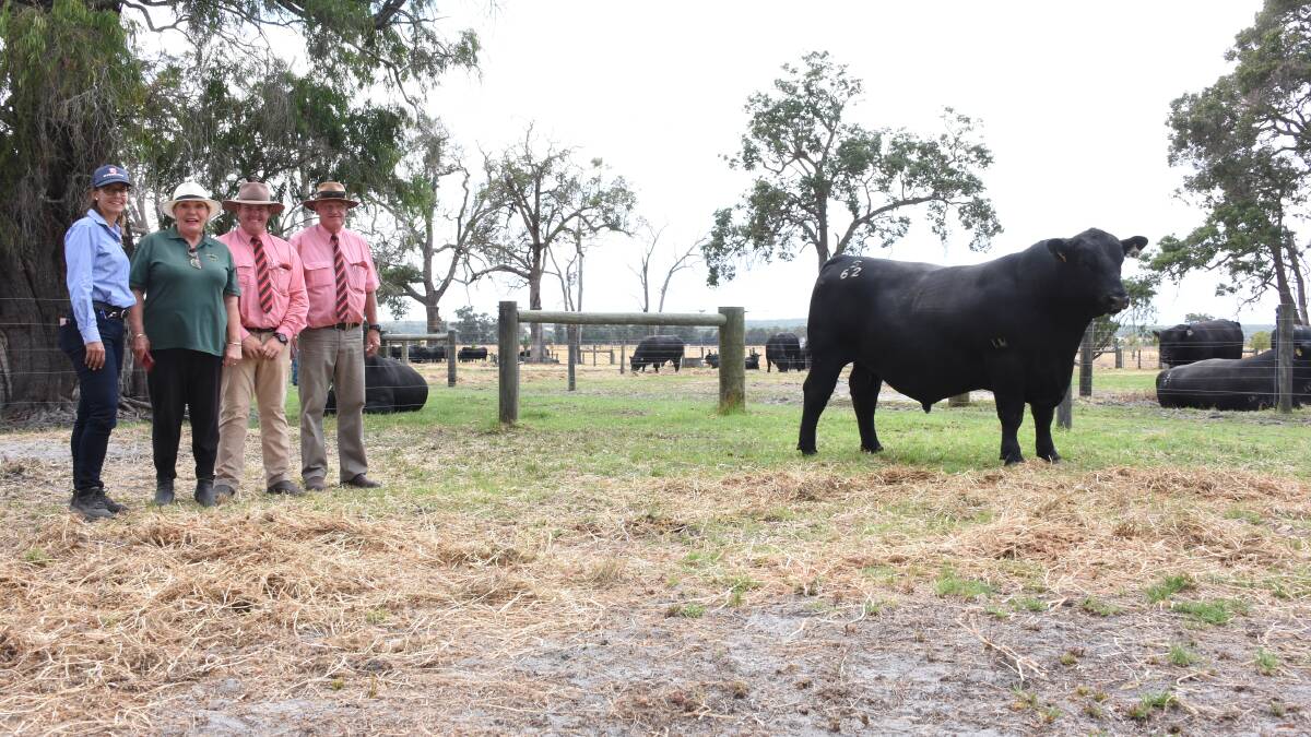 Prices hit a stud record $35,000 for this bull Little Meadows Stringer S62 at the Little Meadows Angus on-property bull sale at Dardanup last week. With the bull were Virbac central WA area sales manager Kylie Meloury (left), who sponsored the top-priced bull buyer prize, buyer Dale Jansen, Fernwood Farm, Preston Valley, Elders auctioneer and Donnybrook representative Pearce Watling and Elders stud stock and Bridgetown representative Deane Allen.