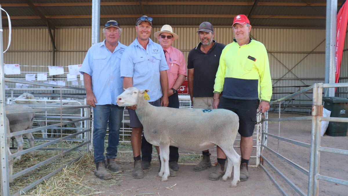  With the sales $925 top-priced Poll Dorset ewe were Stockdale principals Laurie (left) and Brenton Fairclough, Elders stud stock prime lamb specialist Michael ONeill and buyers Sascha and Chris Squiers, Shirlee Downs and Dongadilling Poll Dorset studs, Quairading. The Squiers not only purchased the top-priced Poll Dorset ewe they were the volume buyers in the sale purchasing 16 Poll Dorset ewes at an average of $495 and 49 White Suffolk ewes at an average of $582 under the hammer.