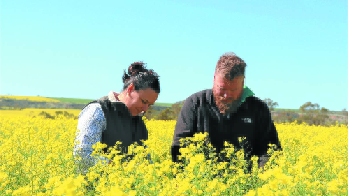 Block 275 came about when the couple felt the need to diversify their business as their 680 arable hectare farm is considered quite small for the region. They wanted to optimise the value of their farm further down the supply chain.