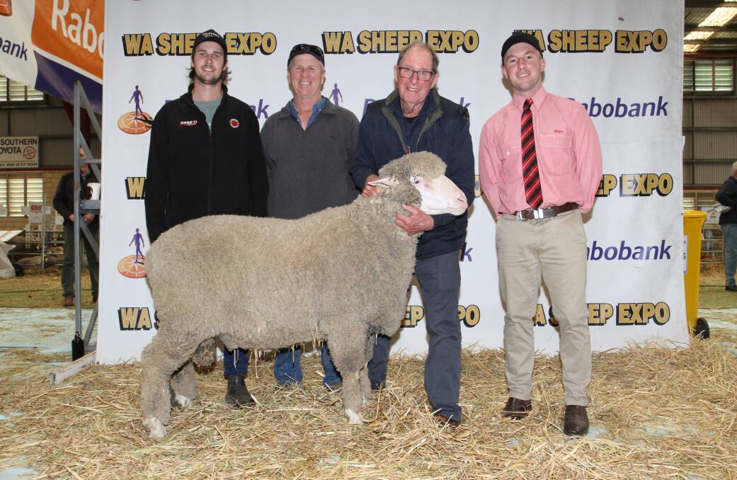 Buyers Travis (left) and John Hewett, Chas Hewett & Co, Corrigin, Claypans stud co-principal Philip Bolt, Corrigin and Elders stud stock auctioneer James Culleton, with the Claypans March shorn Poll Merino ram that sold for $6000.