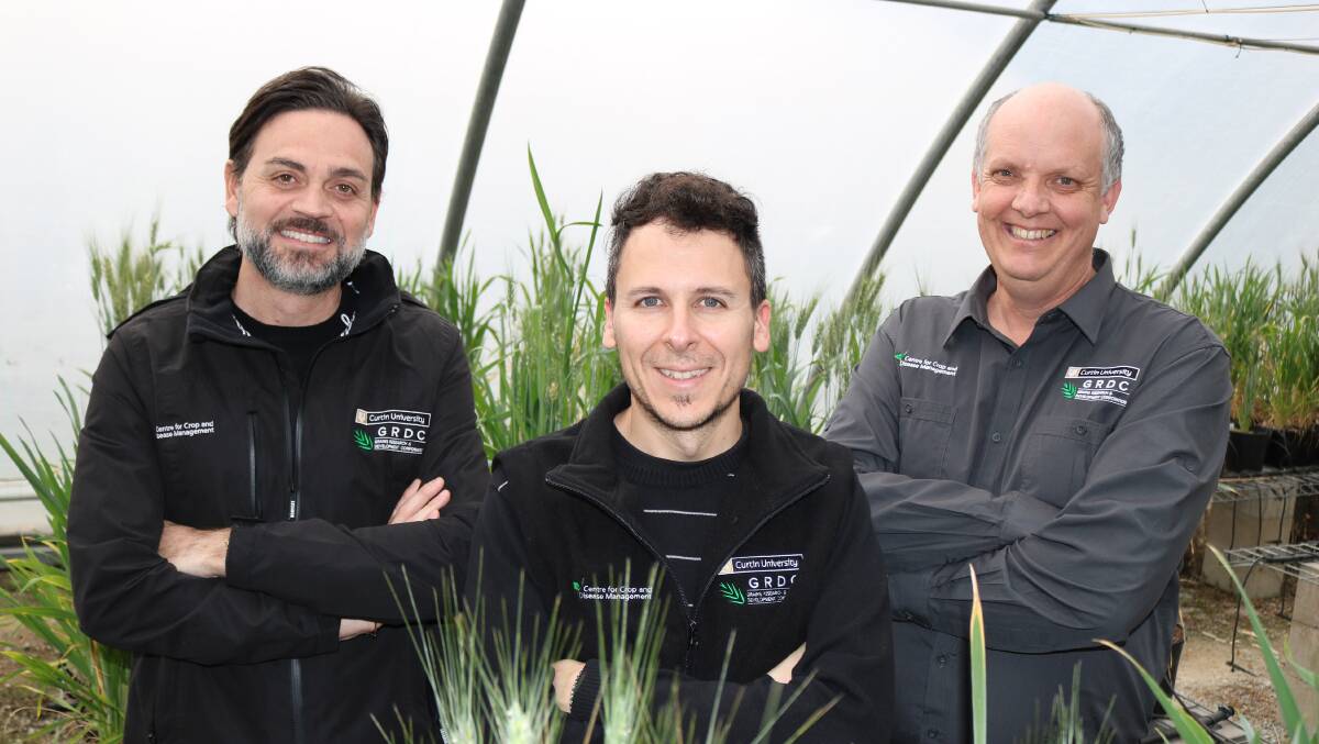 CCDM's Barley Disease Cohort Project team is led by Dr Lorenzo Covarelli (left), with input from fungicide resistance expert Dr Fran Lopez-Ruiz and CCDM co-director, Professor Mark Gibberd. Photograph by CCDM.