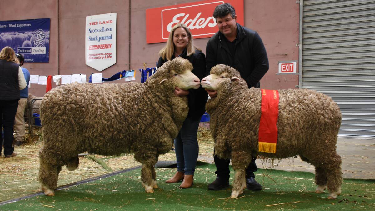  The King familys Rangeview stud, Darkan, represented WA in the national August shorn pair (one ram and one ewe) judging and came away with the reserve champion ribbon. With the studs pair were stud principals Melinda and Jeremy King.