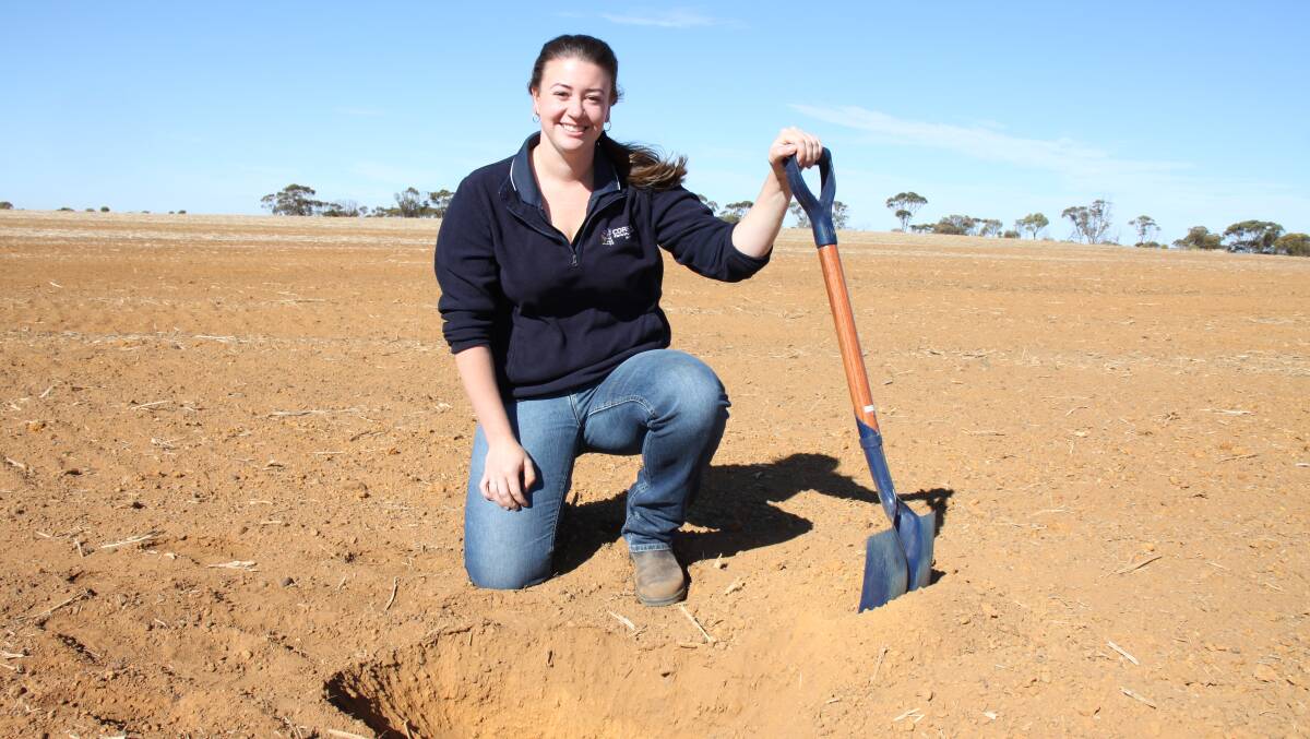 Corrigin Farm Improvement Group executive officer Veronika Crouch said she hoped for some rain to get the trial site ready for seeding as the reefinating made the ground quite fluffy.
