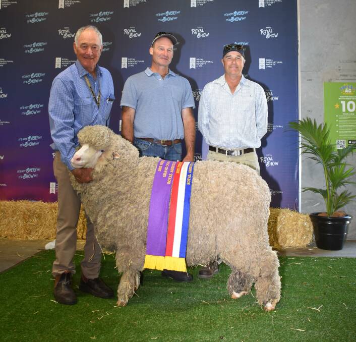 The grand champion August shorn Merino ewe was exhibited by the Tilba Tilba stud, Williams. With the winning ewe which was also sashed the champion August shorn medium wool Merino ewe were Tilba Tilba stud principals Stuart (left) and Andrew Rintoul and Phil Jones, representing Milne Feeds, which sponsored the award.