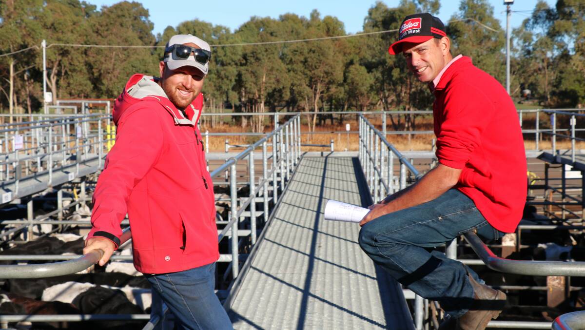 Elders, Busselton representative Jacques Martinson, (left), was on the rail before the sale with Elders South West livestock manager Michael Carroll.