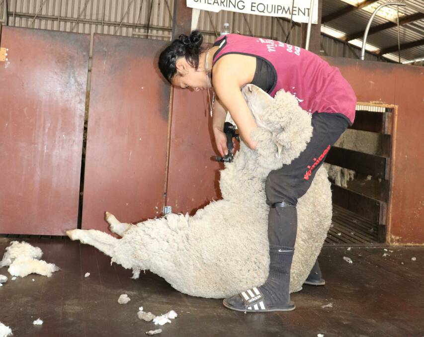 Unity Ngatai is a New Zealand expat who works for Adequate Shearing, Katanning, and took part in AWI's five day shearing and wool classing course earlier this month at Rylington Park, Boyup Brook.