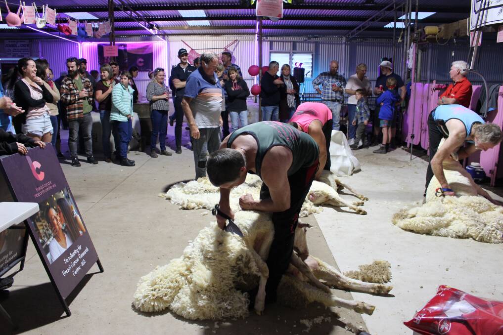 The Jumbuk Shearing team in action at last year's record breaking annual Pink Shearing For Liz Day at the Davies family's Cardiff stud shearing shed at Yorkrakine where more than $40,000 was raised for breast cancer research. This year's community fundraising event will be held at Cardiff on Saturday, July 31, from 3pm.