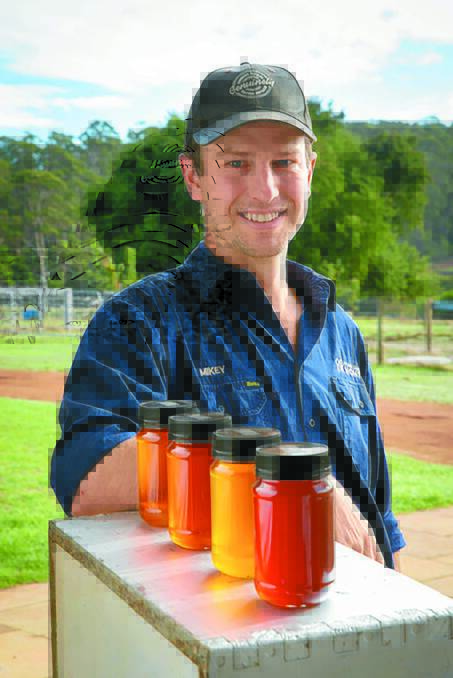 Mikey Cernotta, the chairman of resource and biosecurity at the Bee Industry Council of WA and owner-director of the Pemberton Honey Company, said registration of beekeepers was crucial to safeguarding WAs bee industry.