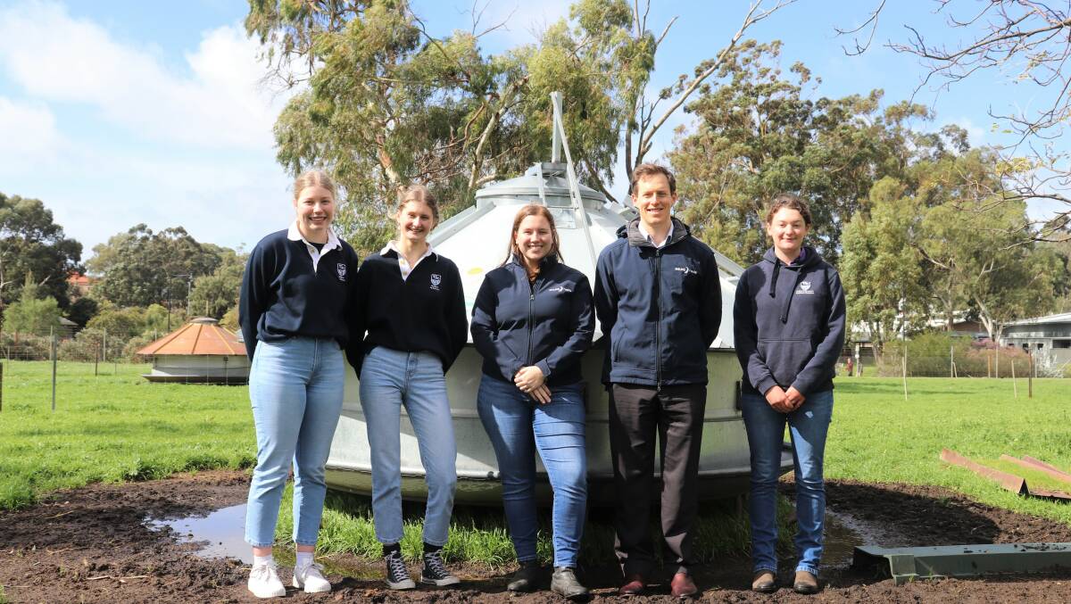 Final-year Murdoch University animal science students, Katy Reid (left), Baldivis, Kelsie Palmer, Bunbury and Zoe Dickson (right), Nannup, at the university's on-campus sheep feedlot with Milne Feeds representatives, ruminant feed sales coordinator Sydney Fowler and nutritionist Dr Joshua Sweeny. Milne provides pellet feeds for the feedlot unit where students measure and compare weight gain.
