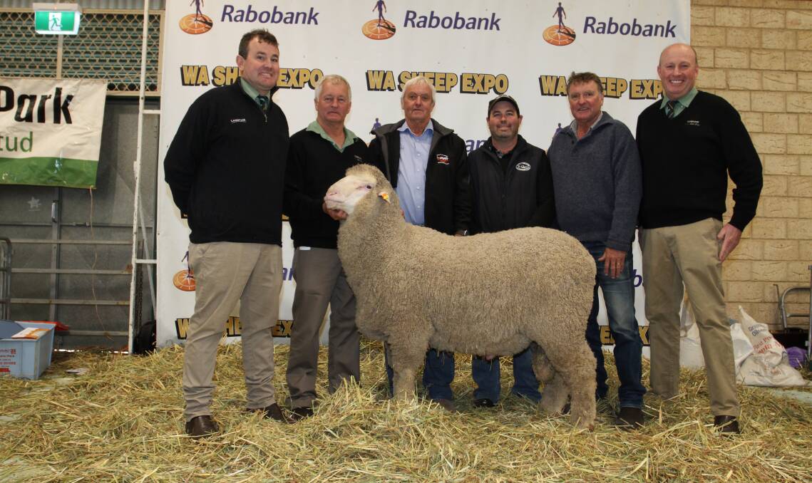 The $45,000 top-priced ram for the season across all breeds was sold by the Edmonds family's Rhamily Poll Merino stud, Calingiri, at the Rabobank WA Sheep Expo & Sale at Katanning in August when this March shorn Poll Merino ram sold to the Glen-Byrne stud, Calingiri and the St Quentin stud, Nyabing, in partnership with semen shares to the Manunda stud, Tammin and Kingussie stud, Dumbleyung. With the ram were Landmark Breeding representative Mitchell Crosby (left), ram preparer Ashley Lock, Narrogin, Rhamily stud principal Ray Edmonds, buyers Scott Crosby, St Quentin stud and Bruce Edmonds, Glen-Byrne stud and Landmark Wongan Hills representative Grant Lupton.
