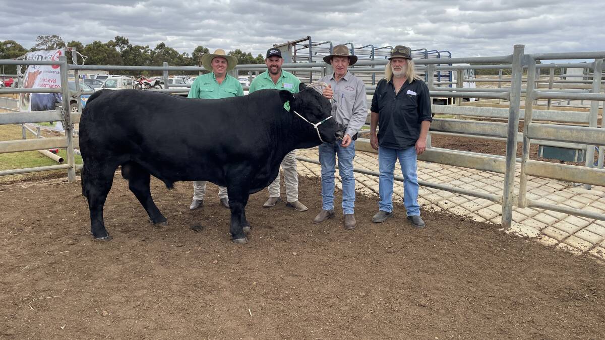 With the $19,500 top-priced bull at Tuesdays Nutrien Livestock Great Southern Blue Ribbon Female and All Breeds Bull Sale at Mt Barker sold by the Hard familys Naracoopa Simmental stud, Denmark, were the Nutrien Ag Solutions, Albany branch manager, Nutrien Livestock, Todd Keeffe, Esperance representative Jake Hann, Naracoopa stud principal Kevin Hard and buyer Andy Hann, Greendale stud, Esperance.