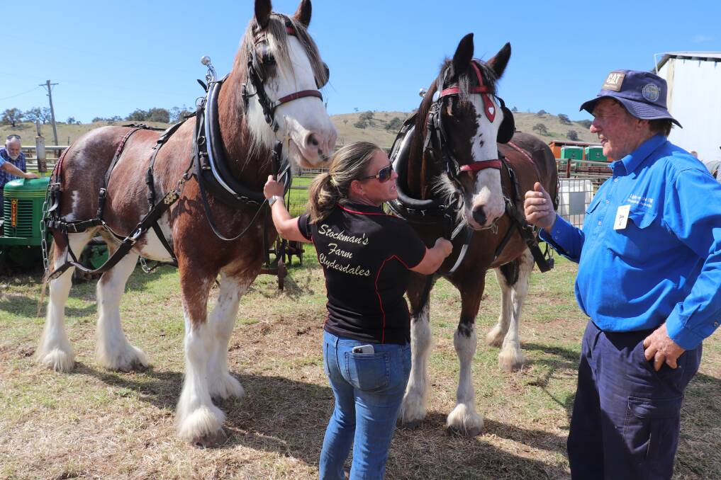 Stockman's Farm Clydesdales, Comet and Tony, were being lined up by Brooke Atkinson, Oakford, to pull the plough. The Clydesdales were one of the many features of the rally which was first organised by Bob Lukins (right). This year's event celebrated 40 years of the club.