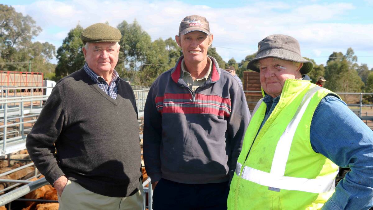 Bob Treasure (left), Wandering, was at last week's Elders Boyanup cattle sale and caught up with Busselton carriers Ian Hopkins and Robin King, before the sale where more than 1800 cattle were penned.