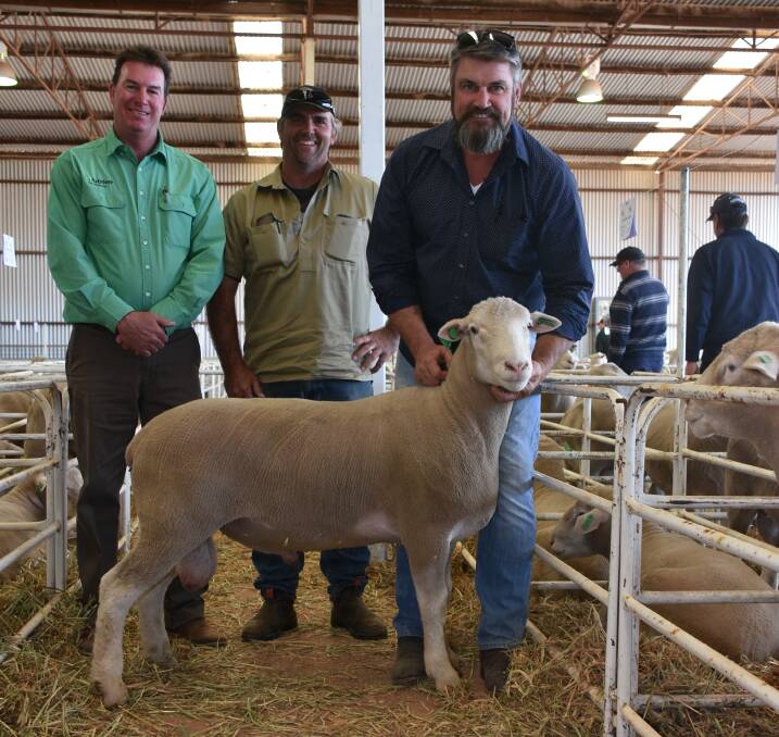 Prices in the Curlew Creek Poll Dorset offering hit a high of $2200 for this ram, with the ram were Nutrien Livestock auctioneer Mark Warren (left), buyer Ashton Mills, Ashlin stud, King River and Curlew Creek stud principal Collyn Garnett.
