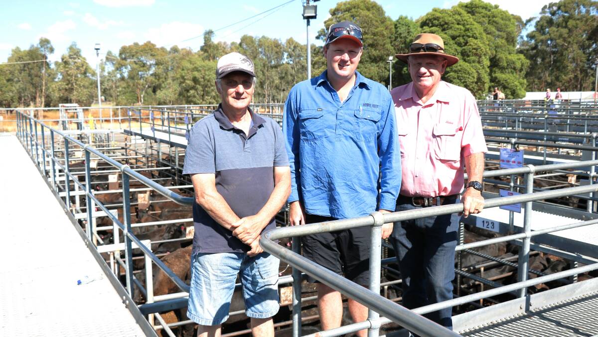 Vendors Peter Tyler (left) and Matt Fairbrass, Bowie Beef, Donnybrook, with Elders Donnybrook representative Deane Allen at the Boyanup weaner sale. The Bowie Beef cattle had been through the Elders Feeder Ready protocol and sold strongly to take the three top liveweight prices selling to 314c/kg.