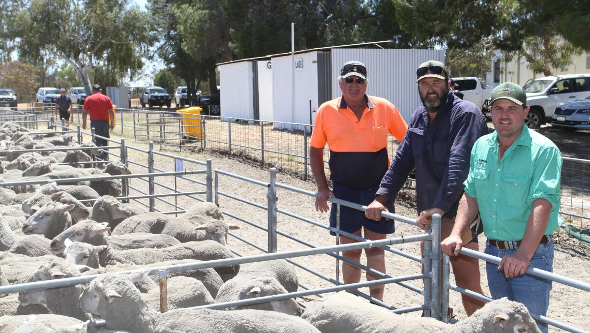 Vendors Ian (left) and Aaron Kerr, IA & CA Kerr, Coorow and Badgingarra and Brice Maddock, Nutrien Livestock Central Midlands. The Kerr family sold 3.5yo and 4.5yo Ejanding blood September shorn ewes at the sale for $206 and $204 respectively.