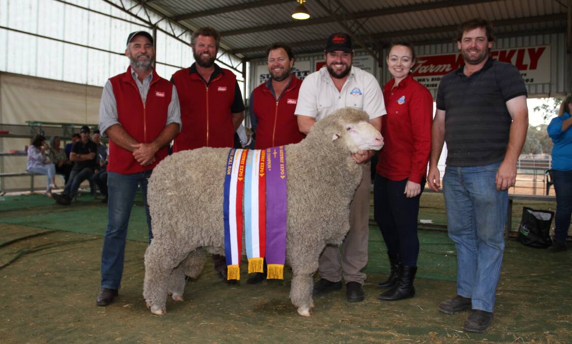  Top honours in the Merino ring at this year's Williams Gateway Expo Sheep Show went to the Blight family's Seymour Park stud, Highbury. With the stud's supreme exhibit were judges Jason Griffiths (left), Canowie Fields stud, Gairdner, Paul Norrish, Angenup stud Kojonup and Steven Bolt, Claypans stud, Corrigin, and Seymour Park's Clinton, Sarah and Sheldon Blight. The ram was also sashed the champion ram of the show, grand champion Poll Merino ram and champion strong wool Poll Merino ram. The supreme title award was sponsored by AWN.