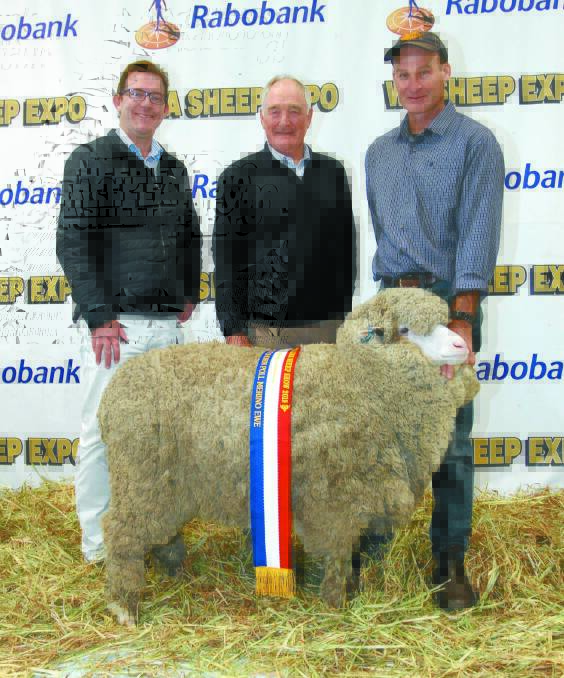 CHAMPION AUGUST SHORN SUPERFINE WOOL EWE: Rabobank Albany branch manager Craig Matthews (left), congratulated Tilba Tilba stud principals Stuart and Andrew Rintoul, Williams, on exhibiting the champion August shorn superfine wool ewe.