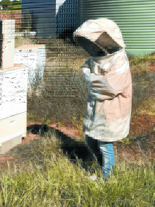Ms Helmot suited up to gain a deep insight into the work of beekeeping. Photo: supplied.