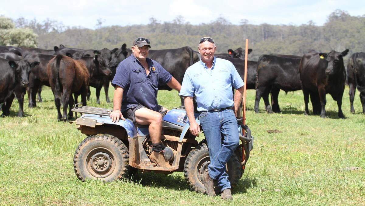 Dave Radomiljac (left) and Independent Rural Agents principal, Colin Thexton, with some of the Radomiljac's black Angus steers.