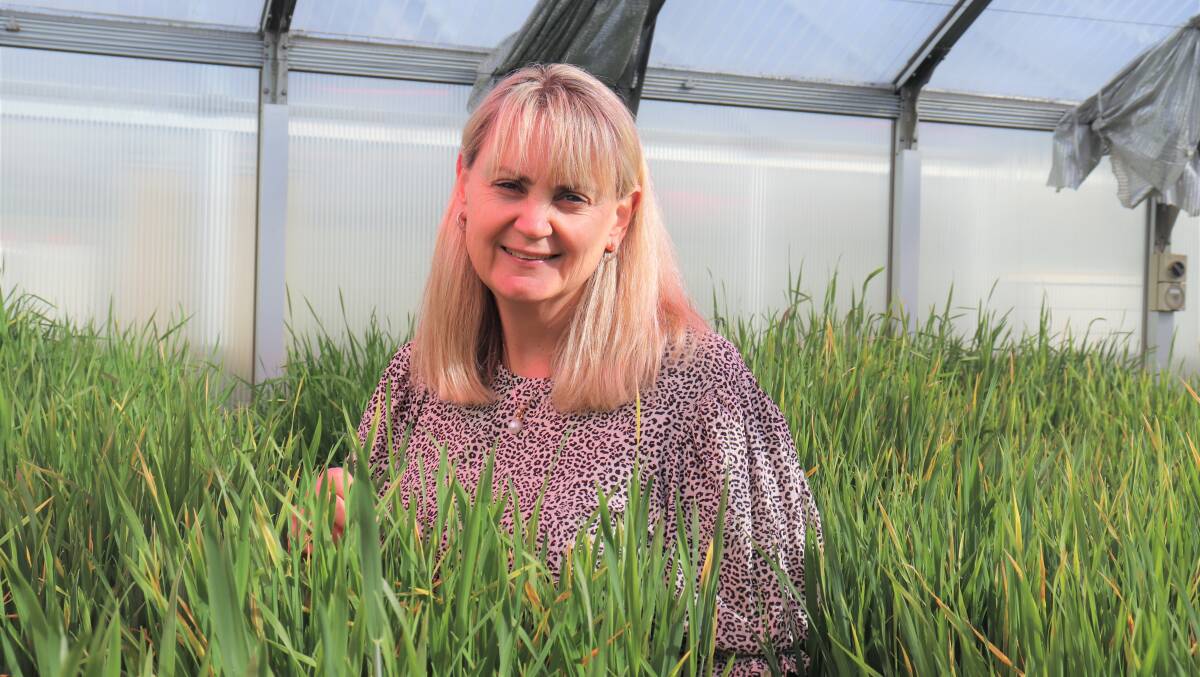 InterGrain chief executive officer Tress Walmsley said the company was looking to expand its breeding program from just cereals to also include pulses.