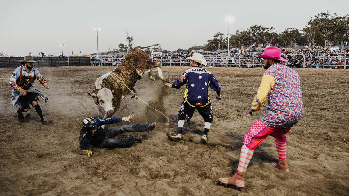 Jamie Clinch just fell in love with the role of protection clown, and hasnt looked back since. Photo (including cover shot of young competitor Kobe Hodgson, who finished second in the 11 to under 14s junior steer ride at the Gilmac Mogumber New Years Eve Rodeo) by Daniel Njegich.