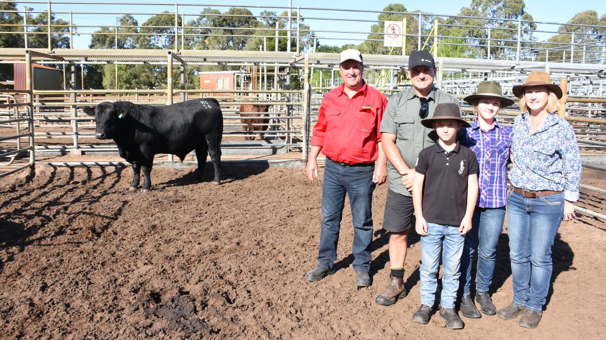 Mordallup stud principal Mark Muir (left), Manjimup, with buyers Luke and Christy Gatti and their children Fernando (10) and Jessica (12), Redmond, with the bull they purchased at $28,000.