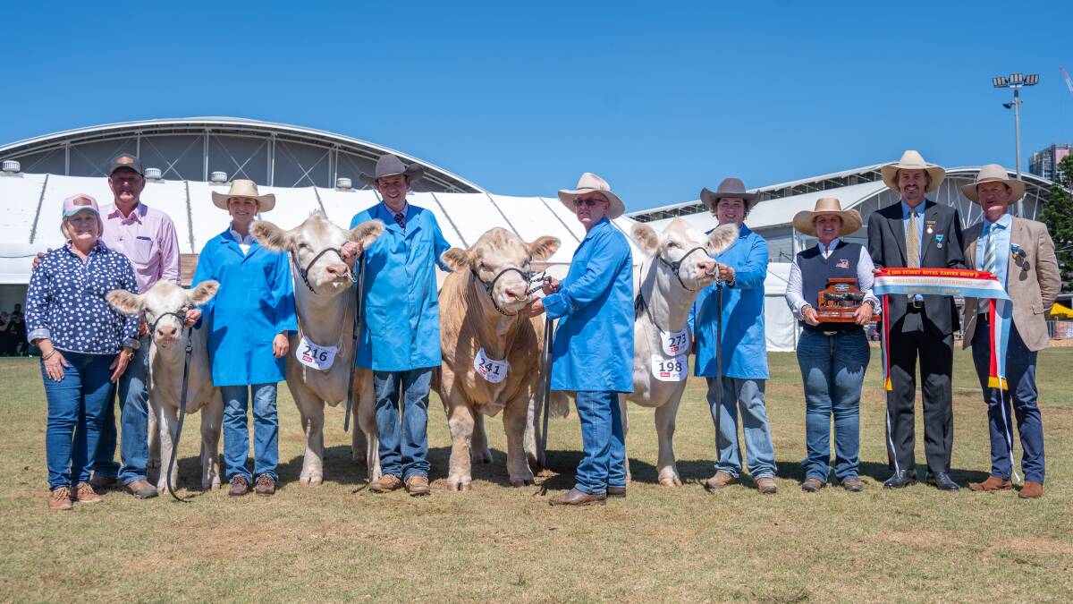 The Venturon Livestock Charolais stud, Boyup Brook, collected its first interbreed ribbon in the cattle judging at the Sydney Royal Easter when it exhibited the interbreed breeders group of three at this years show. With the studs winning team were stud principals Anne (left) and Andrew Thompson, Amy Bolton, Shepparton, Victoria, Harris Thompson, Venturon Livestock, David Bolton, Shepparton, Angus Llewelyn, Keith, South Australia, Christie Fuller, Pine Creek Angus stud, Woodstock, NSW, who presented the Gordon Fuller Memorial Perpetual Trophy for the winning group on behalf of her family, RAS cattle committee chair, Michael MacCue and judge Ross Thompson, Millah Murrah Angus stud, Bathurst, NSW.
