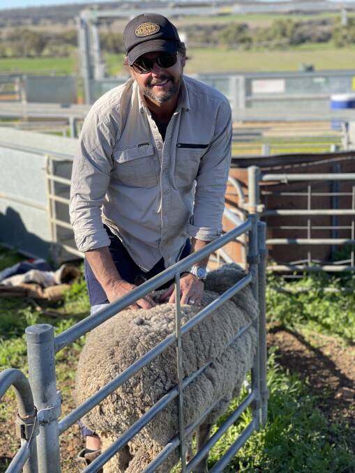 Wool quality is a breeding focus for Justin Matthews.