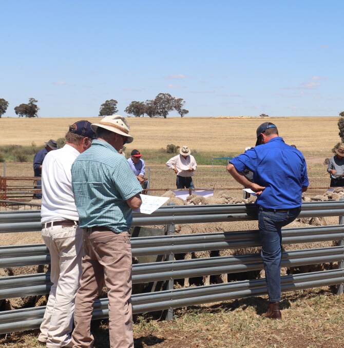 AWI's Geoff Lindon described each of the sires of each pen of ewes and made comparisons between the different groups at the MLP site at Pingelly.