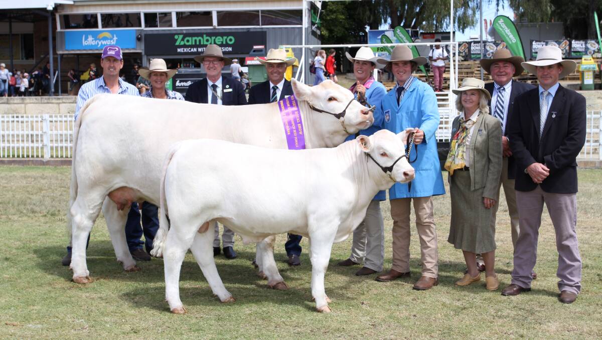  The senior champion interbreed female was exhibited by the Yost family's Liberty Charolais stud, Toodyay. With Liberty Naughty or Nice and her bull calf were Kevin (left) and Robin Yost, Liberty Charolais and Shorthorn stud, Royal Agricultural Society of WA president Paul Carter, award sponsor and Landmark State livestock manager Leon Giglia, Morgan Yost, Liberty stud, Angus Llewellyn, Keith, South Australia and judges Fiona Sanderson, Boonah, Queensland, Peter Cook, Barana Simmental and Shorthorn studs, Coolah, New South Wales and Andrew Raff, Raff Angus stud, King Island, Tasmania.