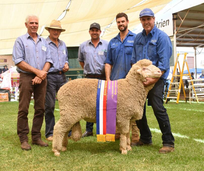  With the grand champion lamb and champion ram lamb exhibited by the Wililoo stud, Woodanilling, were judges Chris Hogg (left), Navanvale stud, Williams, Rod Norrish, Angenup stud, Kojonup, Allan Hobley, Waringa Park stud, Nyabing and Wililoo principals Clinton and Rick Wise.