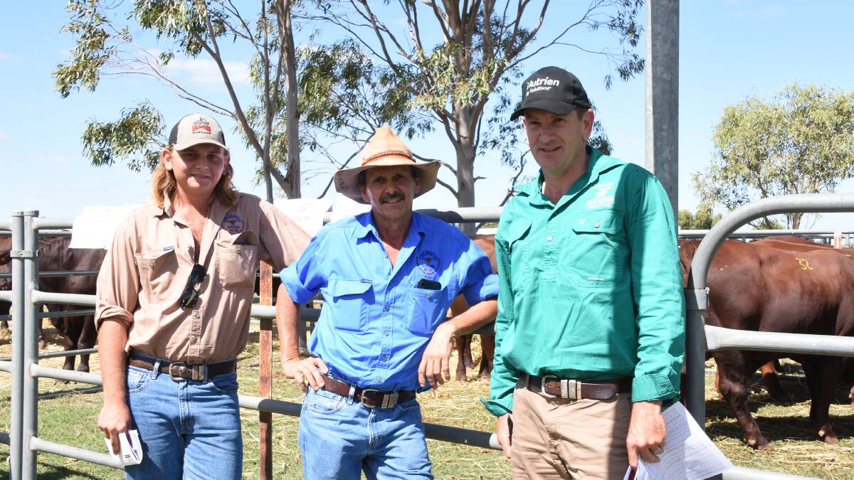 Kris (left) and Kim Parsons, Coolawanyah station, Tom Price, inspected the line-up of bulls before the sale with Nutrien Livestock, Pilbara agent Daniel Wood. In the sale the Parsons purchased 10 Biara Santa Gertrudis bulls to a top of $10,500 and an average of $7050 as well as one Wendalla sire for $6000.