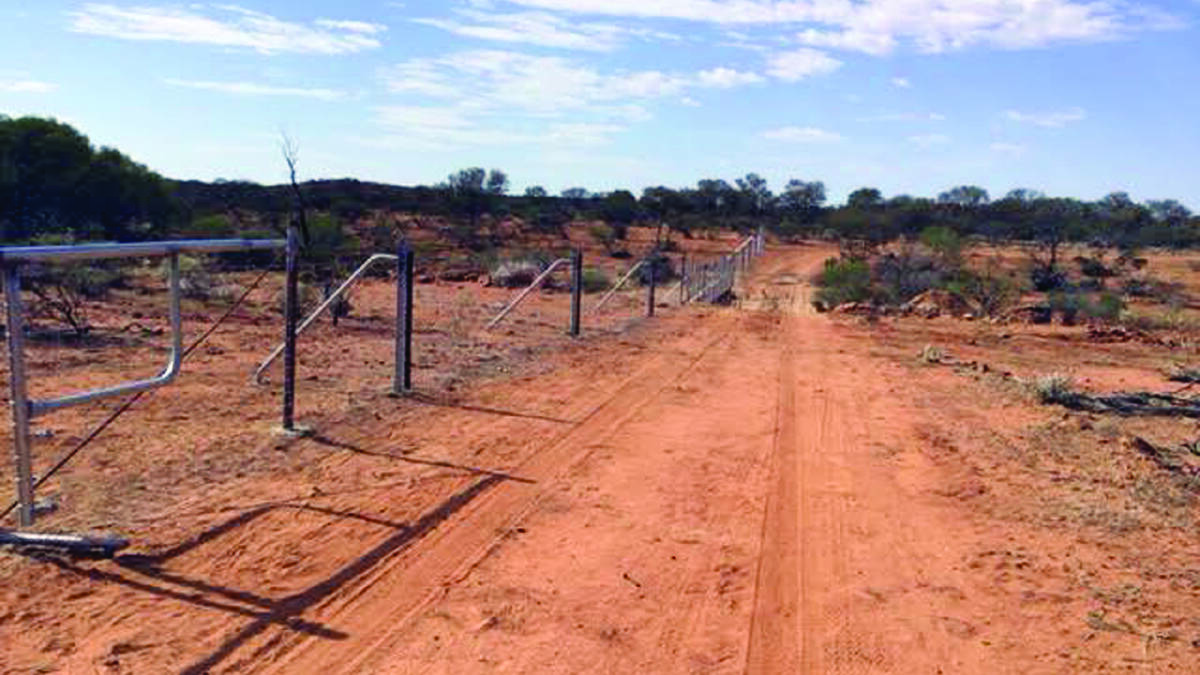 The Murchison Regional Vermin Cell project, which is nearing completion, will enclose 55 pastoral leases and create opportunity and optimism in the region's pastoral sector.