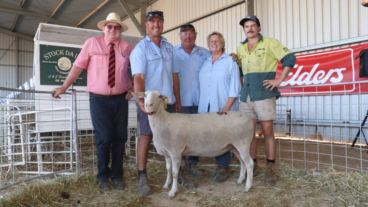 Prices hit a high of $4500 for this 2021-drop ewe at the Stockdale White Suffolk and Poll Dorset stud on-property dispersal sale at York last week, to set what is believed to be a State record price for a White Suffolk ewe sold at auction, when it sold to the Merna stud, Quairading. With the ewe were Elders stud stock prime lamb specialist Michael ONeill (left), Stockdale principals Brenton, Laurie and Jenny Fairclough and buyer Kaiden Johnston, Merna stud.