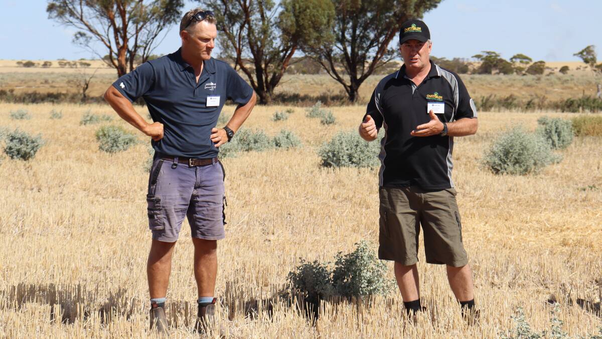Dean Wyatt (left) and Justin Anderson of Chatfields Tree Nursery, Tammin, discussing saltbush at the farm tour.