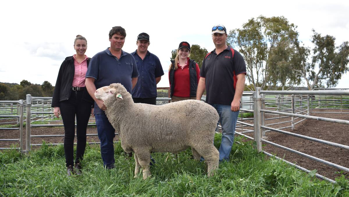 Elders Northam livestock sales support officer Tyler Christian (left), San-Mateo stud co-principal Damien Morrison, top-priced buyer Toby Blechynden, Brookton, Elders wool and livestock trainee Alex Prowse and San-Mateo co-principal Nigel Morrison, with the $2200 top-priced Poll Merino.