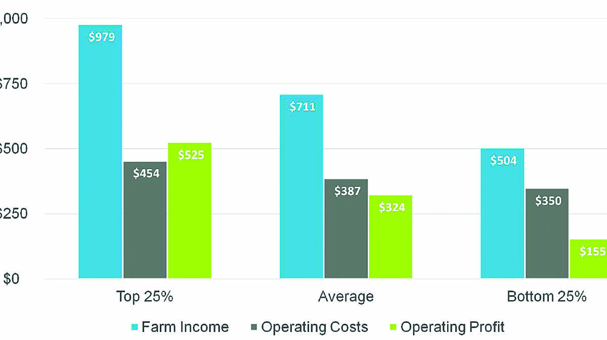 A graph of broadacre farm profit from the 2018-19 Planfarm Benchmarks.