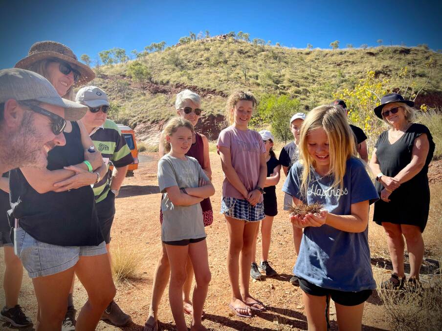 Through Taste of the Ord Valley, Mr Melville provides participants with bush tucker samples, shares the history of Argyle and explores the region's wildlife.